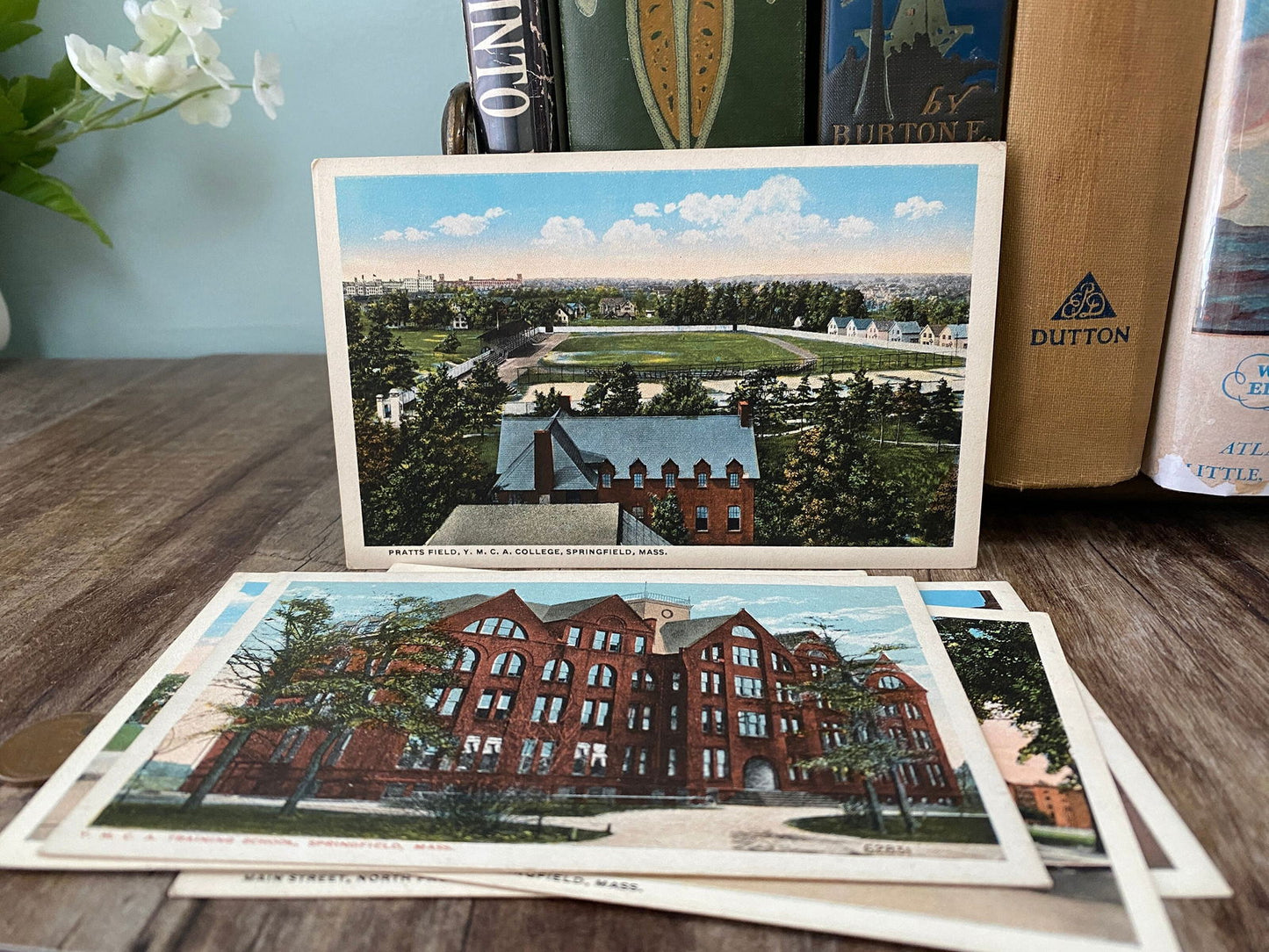 Antique Springfield Massachusetts Postcards Postcards at Duckwells