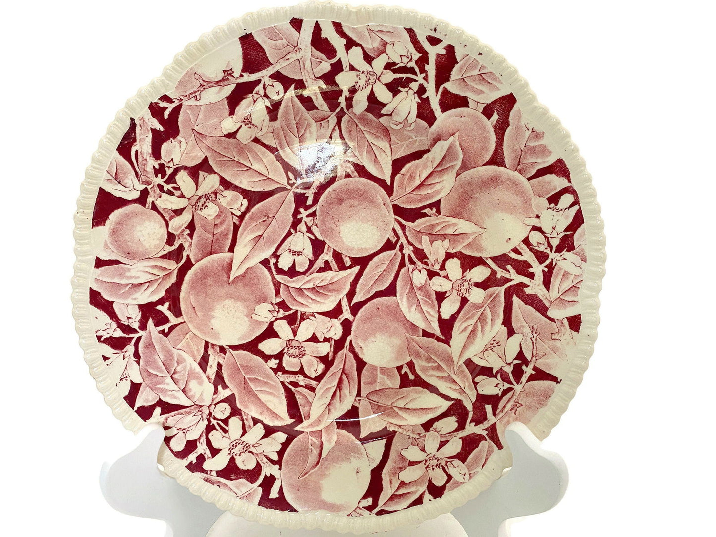 Vintage Royal Cauldon Madeira Pattern Plate at Duckwells