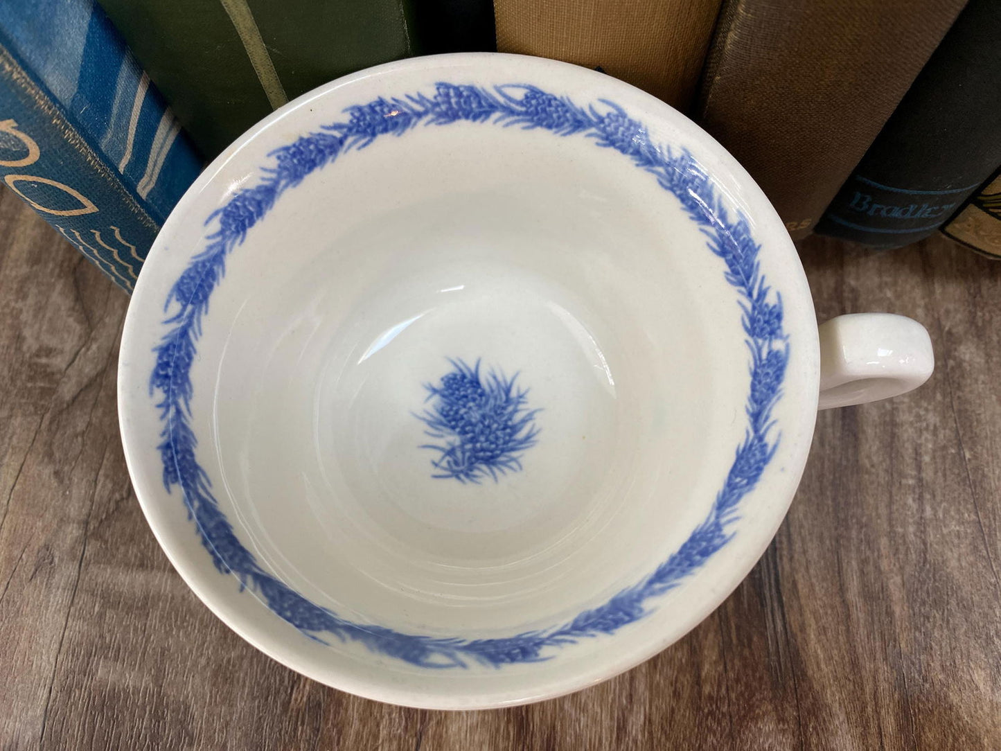 Vintage University of Maine Wedgwood Staffordshire Souvenir Teacup - Duckwells