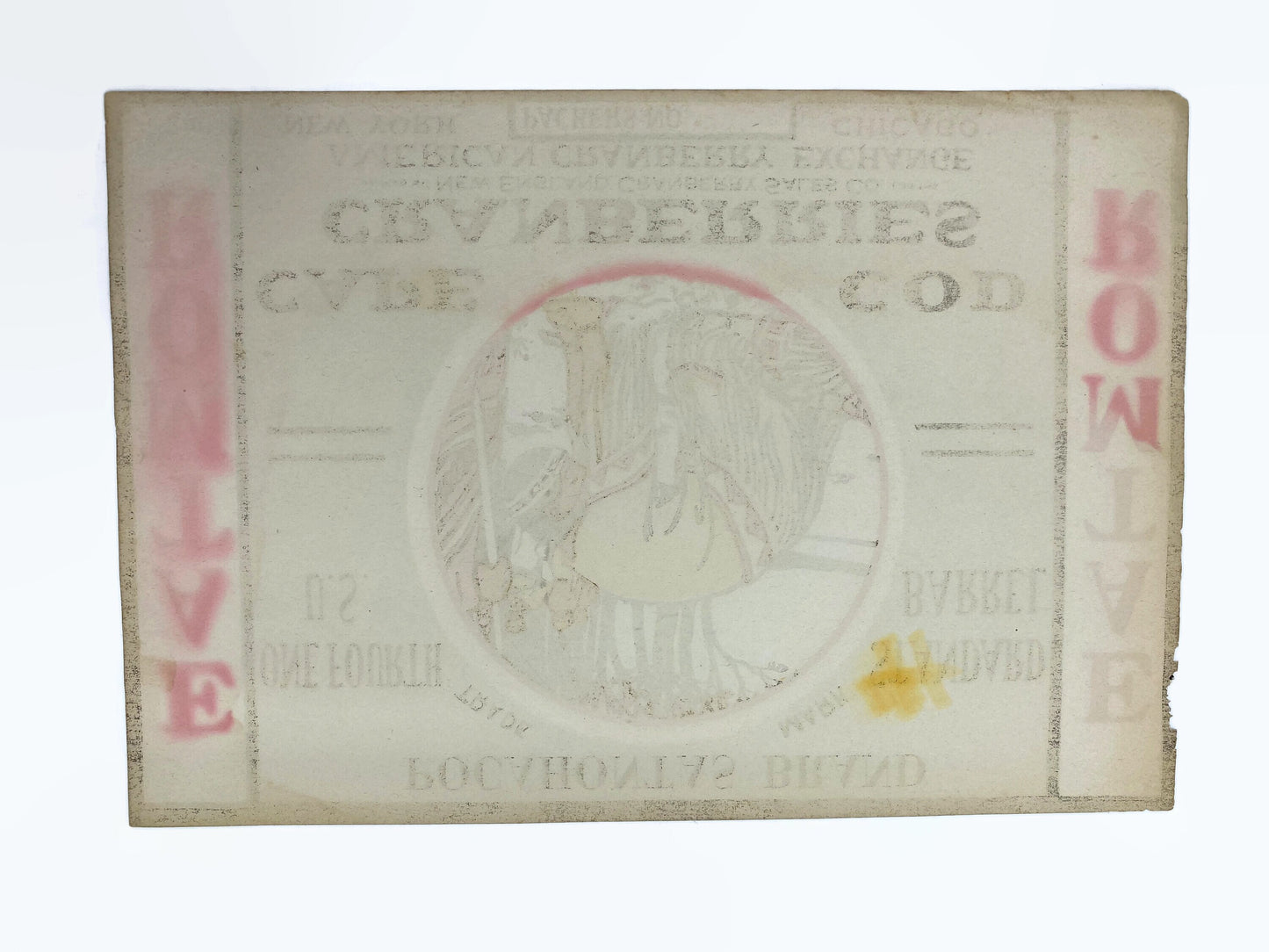 Vintage Cape Cod Cranberries Pocahontas Brand Crate Label at Duckwells