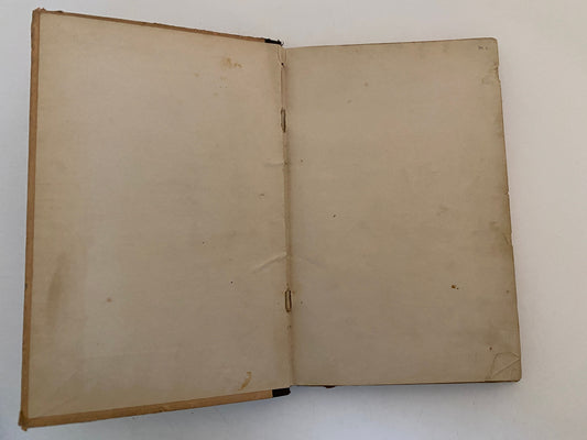 Antique Book Willson's Larger Speller Lessons in Spelling 1864 at Duckwells