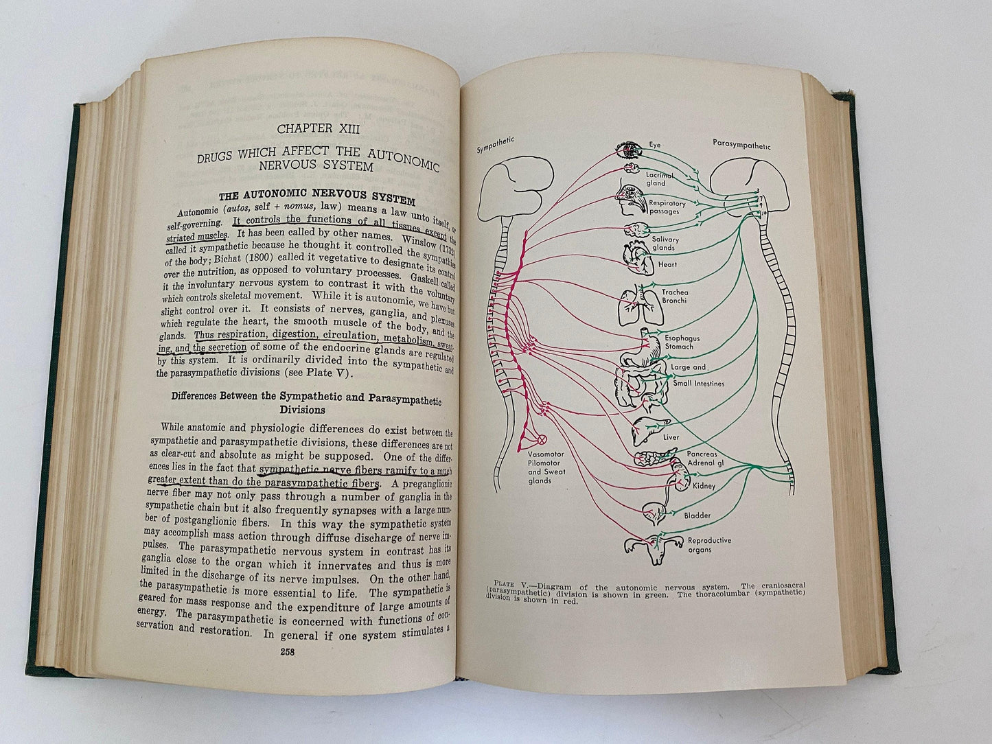 Midcentury Medical Book, An Introduction to Materia Medica & Pharmacology at Duckwells