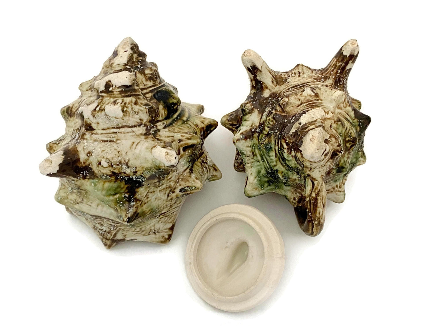 Mid Century Ceramic Seashell Sugar and Creamer Set at Duckwells
