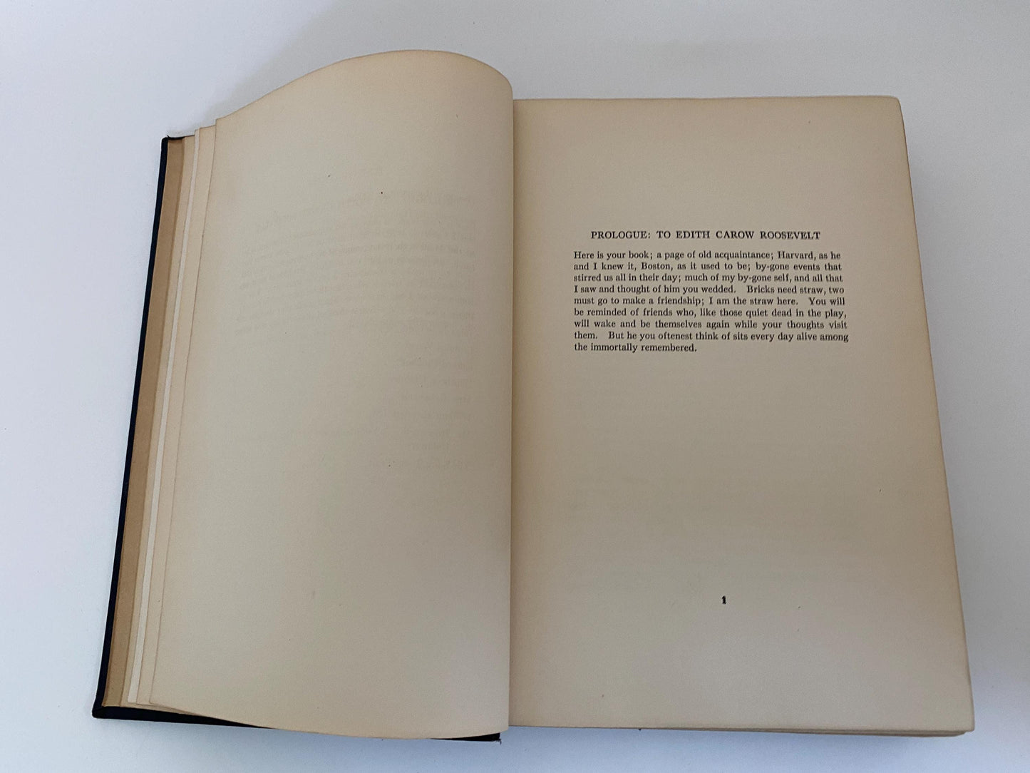 Vintage Book, Roosevelt the Story of a Friendship by Owen Wister