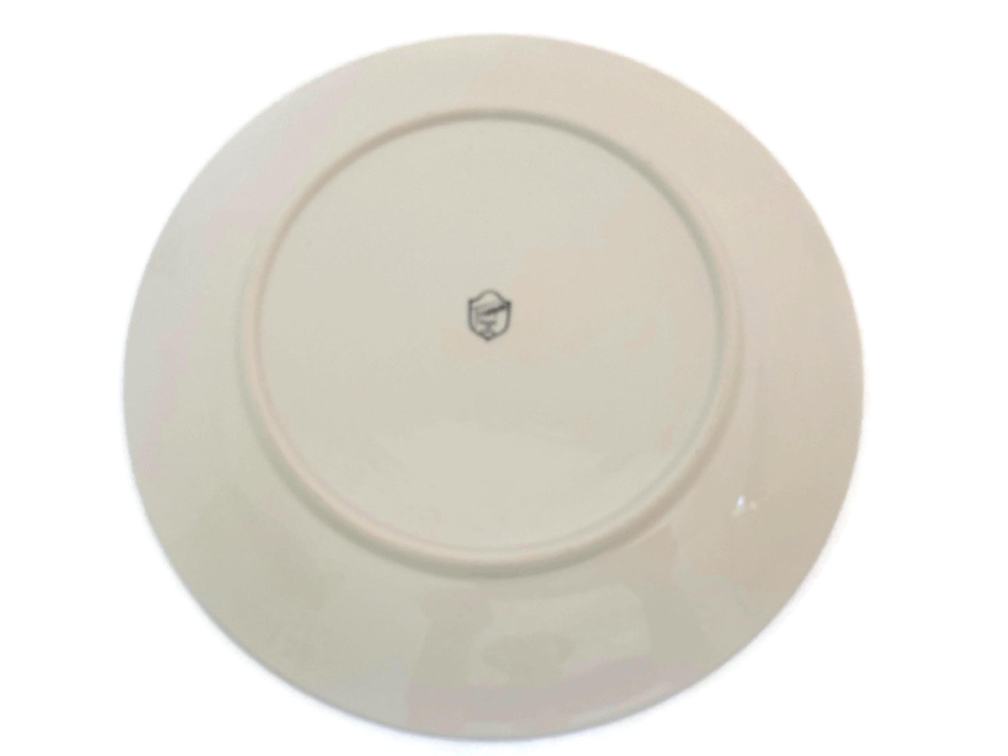 Vintage Texas State Souvenir Plate at Duckwells