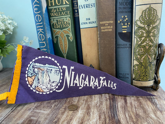 Midcentury Niagara Falls Tourist Pennant