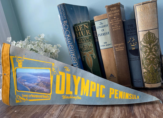 Vintage Washington Souvenir Pennant at Duckwells