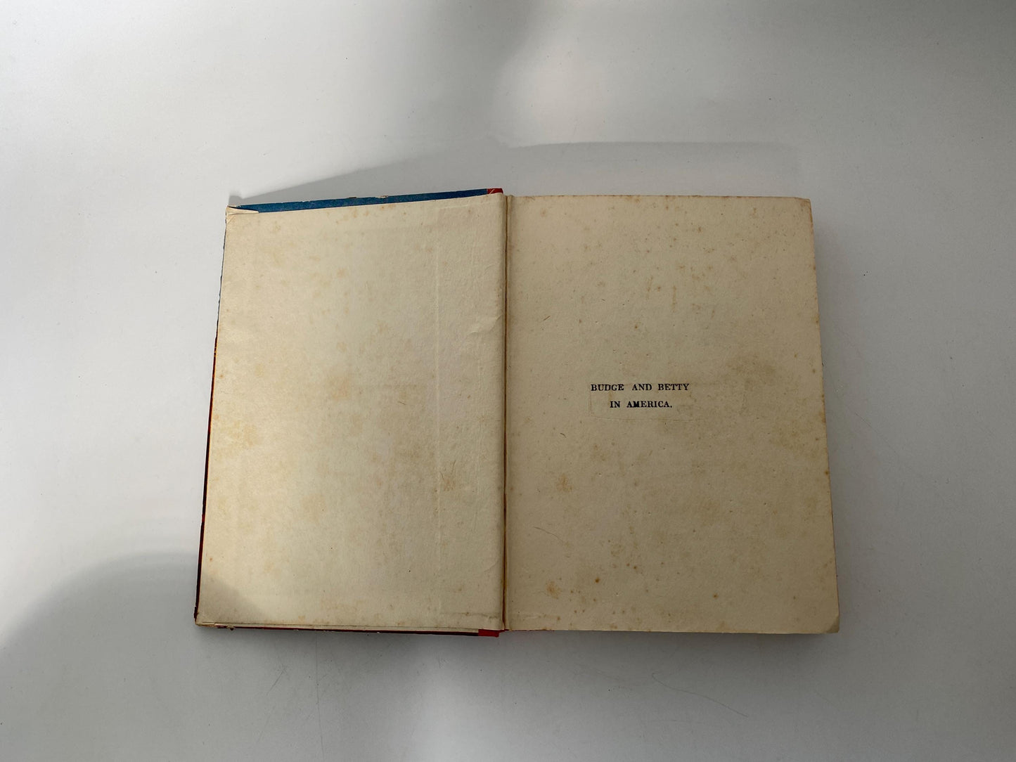 1930s Children's Book, Budge and Betty in America at Duckwells