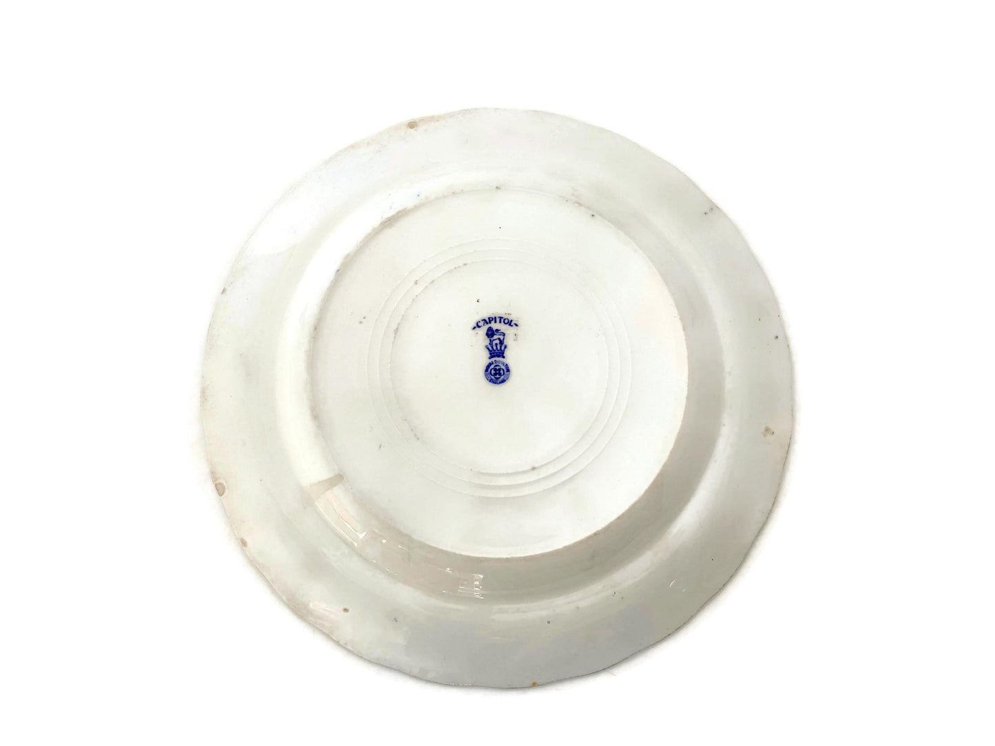 Antique US Capitol Plate by Royal Doulton at Duckwells