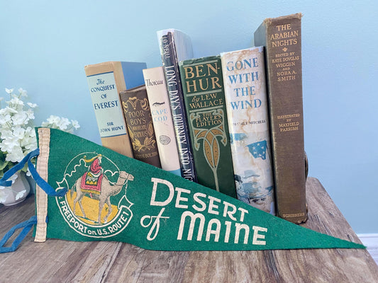 Vintage Desert of Maine FeltPennant