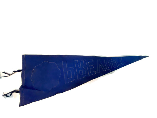 Vintage Provost High School Pennant