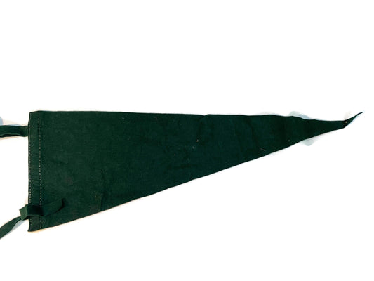Vintage Sebago Lake State Park Pennant
