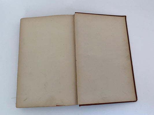Antique Book, Baltimore The Monumental City, 1873