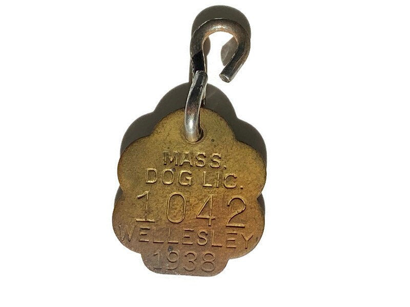 1938 Wellesley Massachusetts Brass Dog License Tag at Duckwells