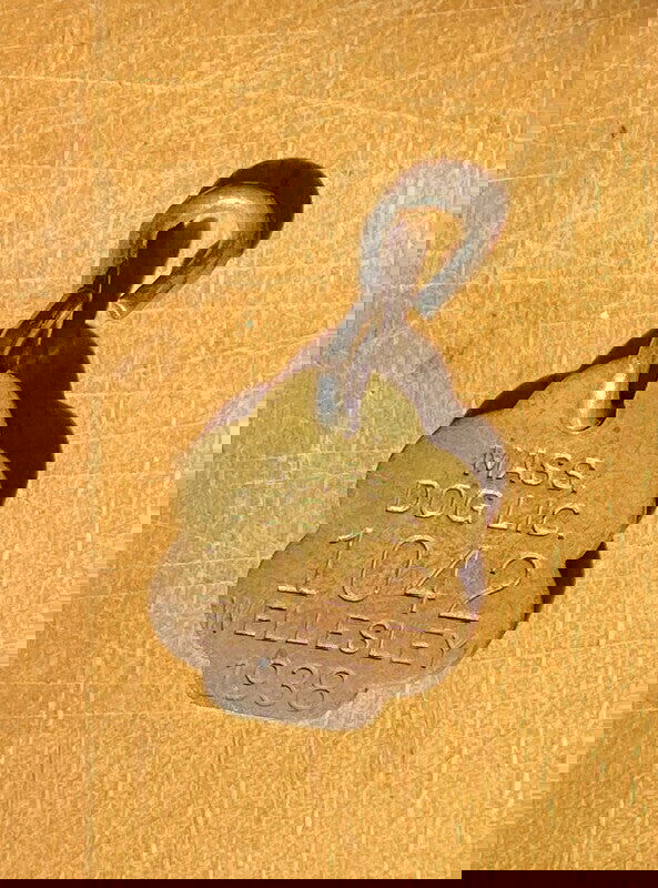 1938 Wellesley Massachusetts Brass Dog License Tag at Duckwells