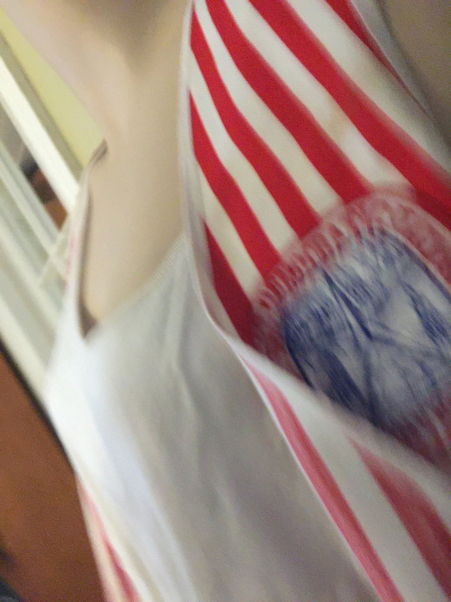 1968 Democratic National Convention Vest at Duckwells