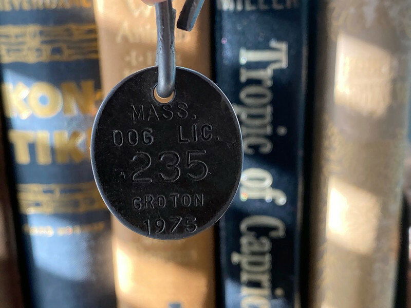 1975 Groton Massachusetts Dog License Metal Tag at Duckwells