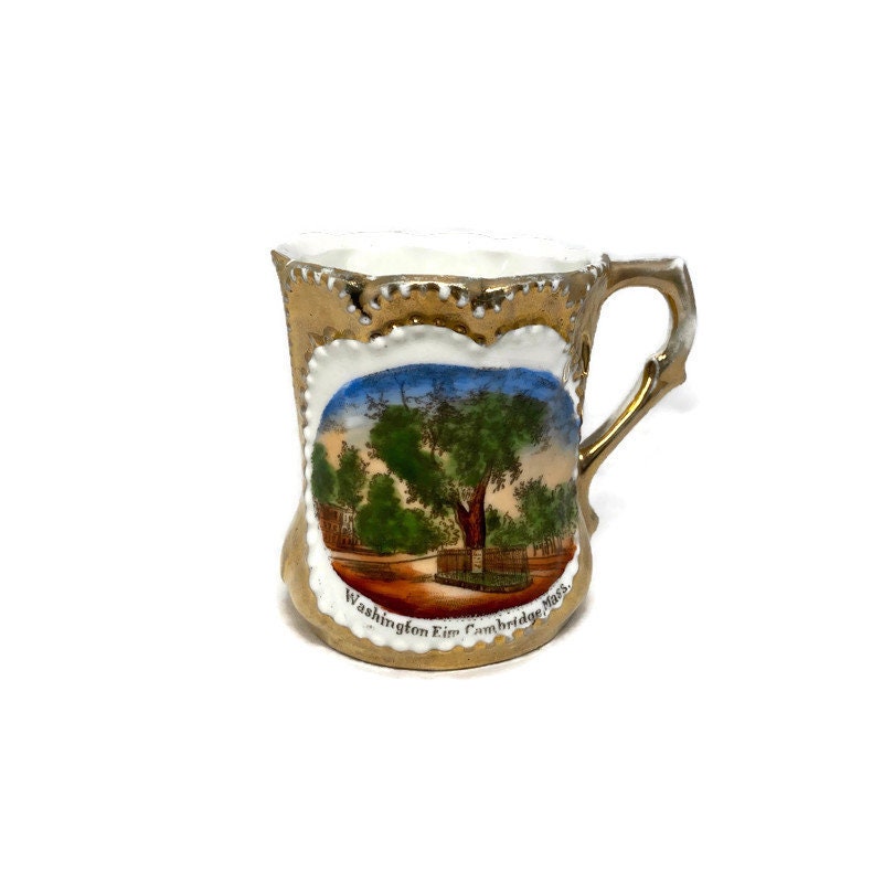 Antique Cambridge Massachusetts Souvenir German Porcelain Cup - Duckwells