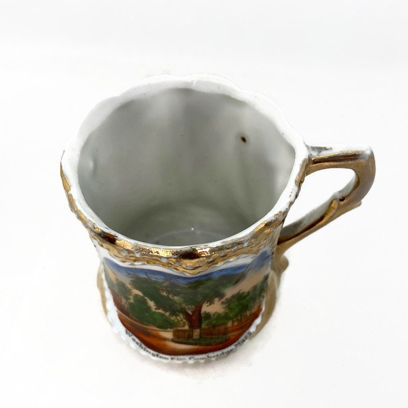 Antique Cambridge Massachusetts Souvenir German Porcelain Cup - Duckwells