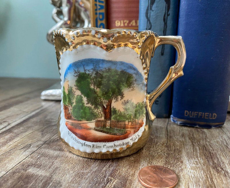 Antique Cambridge Massachusetts Souvenir German Porcelain Cup - Duckwells