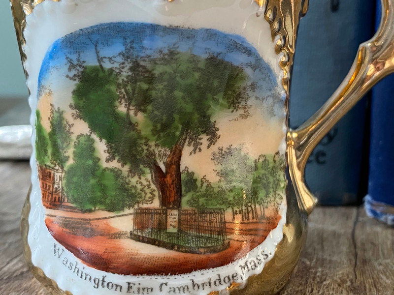 Antique Cambridge Massachusetts Souvenir German Porcelain Cup - Duckwells
