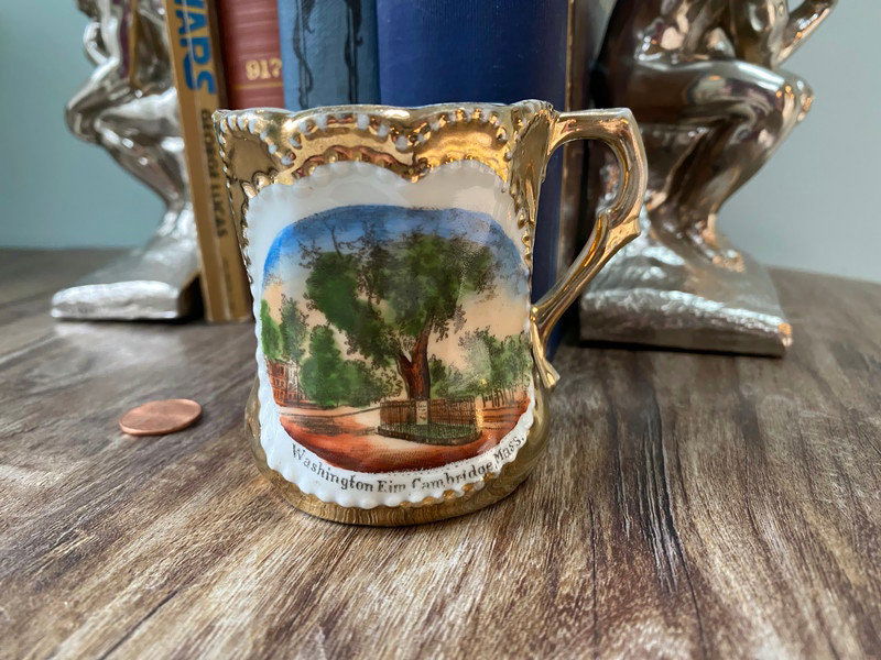 Antique Cambridge Massachusetts Souvenir German Porcelain Cup - Duckwells