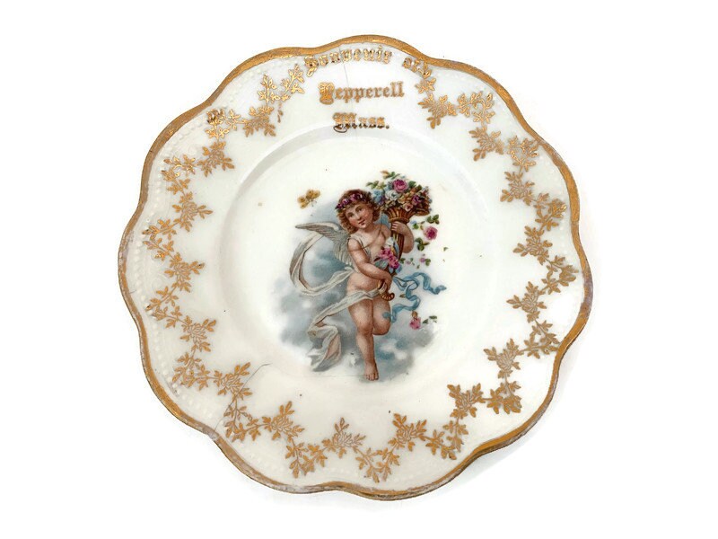 Antique Pepperell Massachusetts Limoges Porcelain Plate at Duckwells