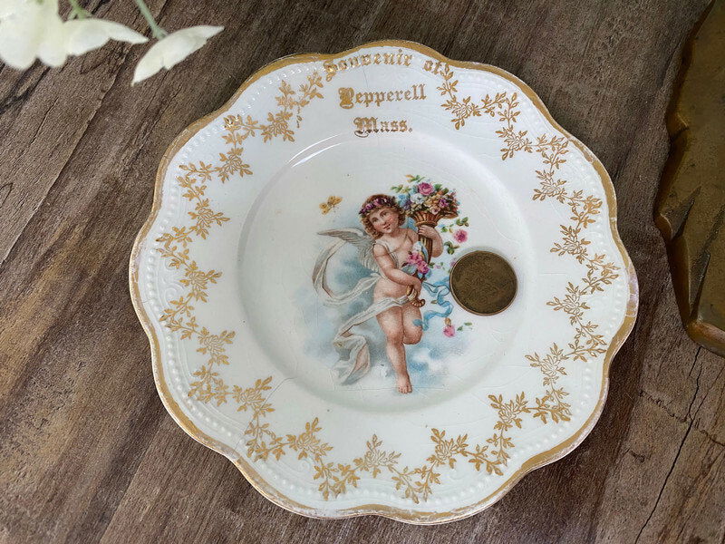 Antique Pepperell Massachusetts Limoges Porcelain Plate at Duckwells