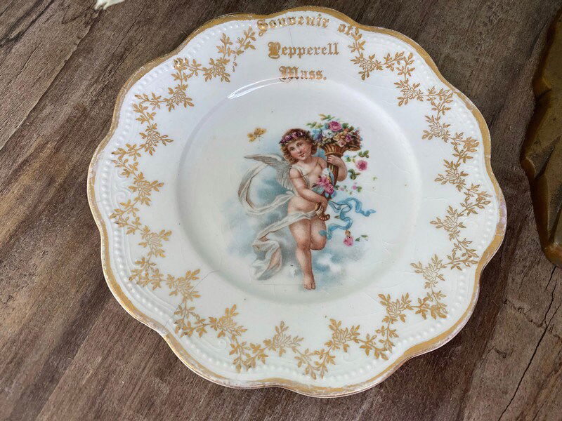 Antique Pepperell Massachusetts Limoges Porcelain Plate at Duckwells