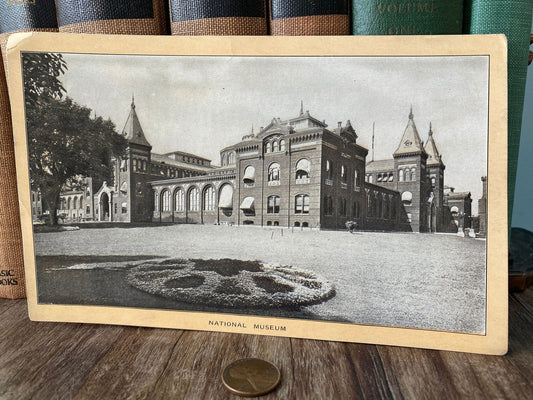 Antique Trio of Singer Sewing Machine Trade Cards at Duckwells