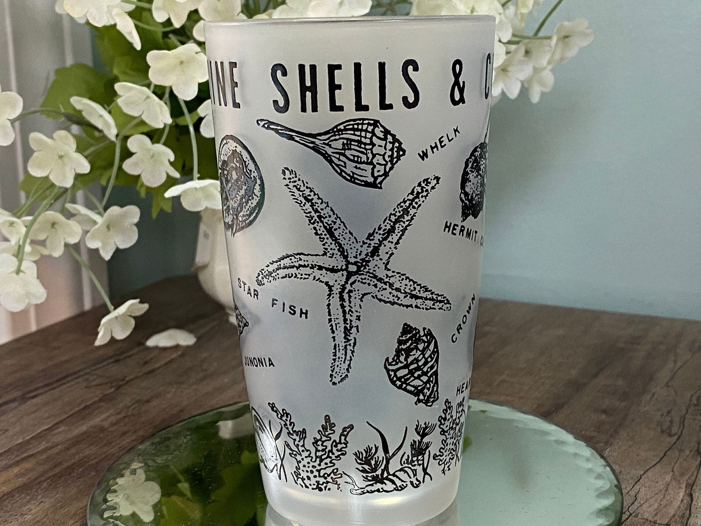 Midcentury Florida Souvenir Frosted Glassware - Duckwells