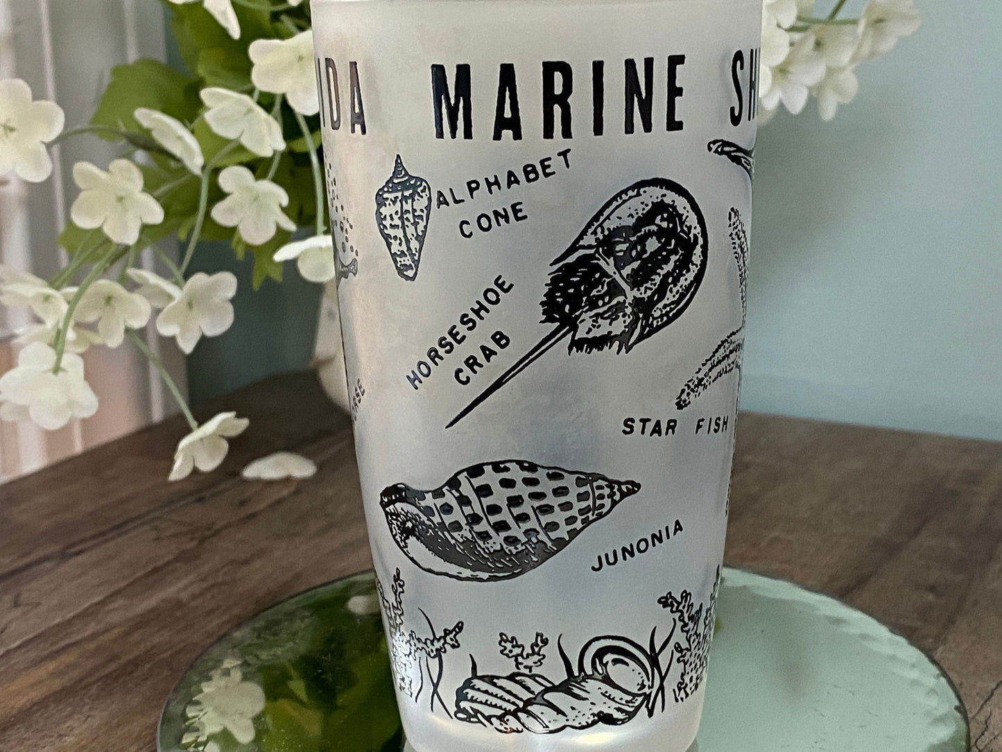 Midcentury Florida Souvenir Frosted Glassware - Duckwells