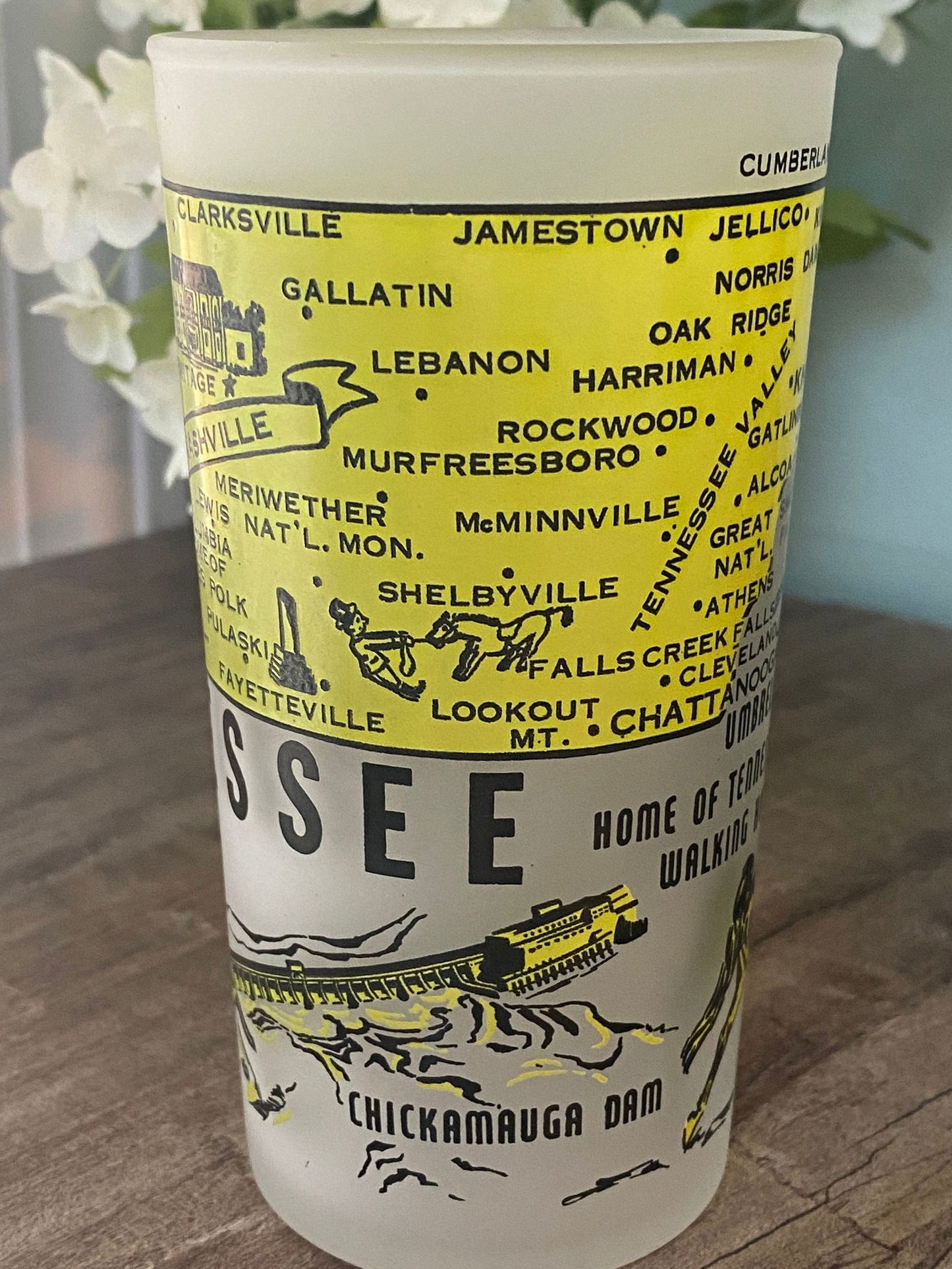 Midcentury Tennessee Souvenir Glass - Duckwells