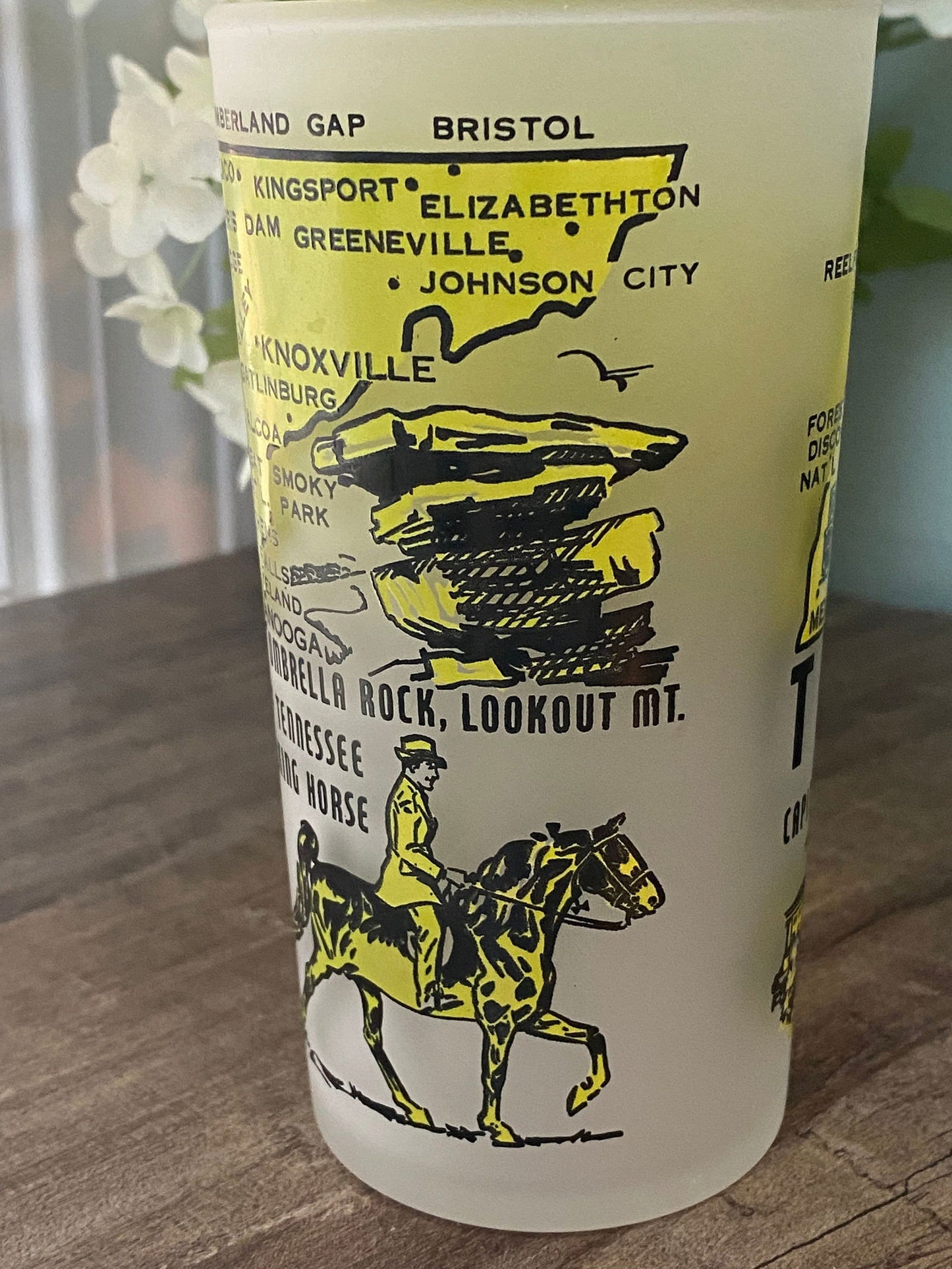 Midcentury Tennessee Souvenir Glass - Duckwells