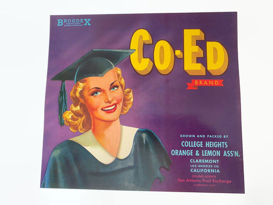 Vintage Coed Fruit Label Los Angeles California at Duckwells
