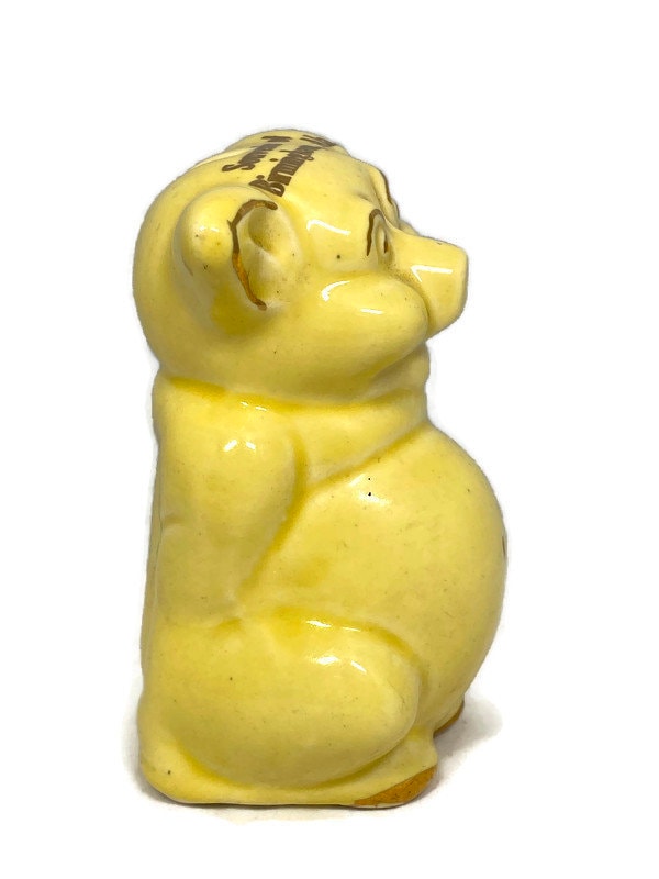 Vintage Piggy Bank, Ceramic Souvenir of Birmingham, Alabama