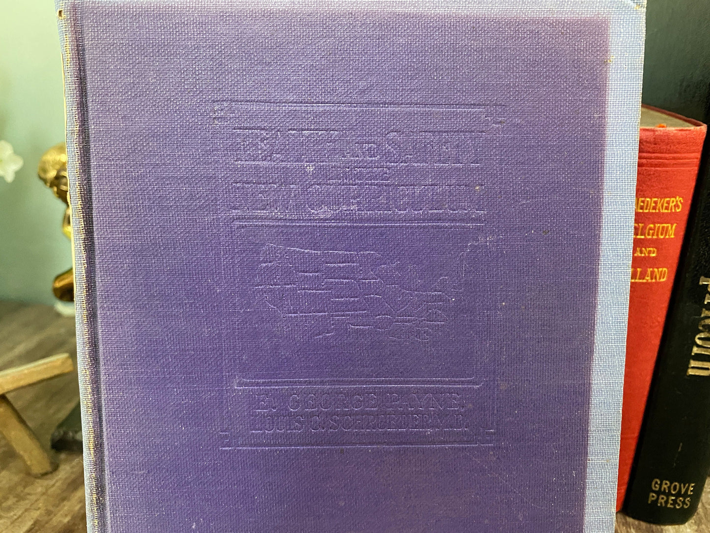 Antique Health and Safety Teacher's Training Book