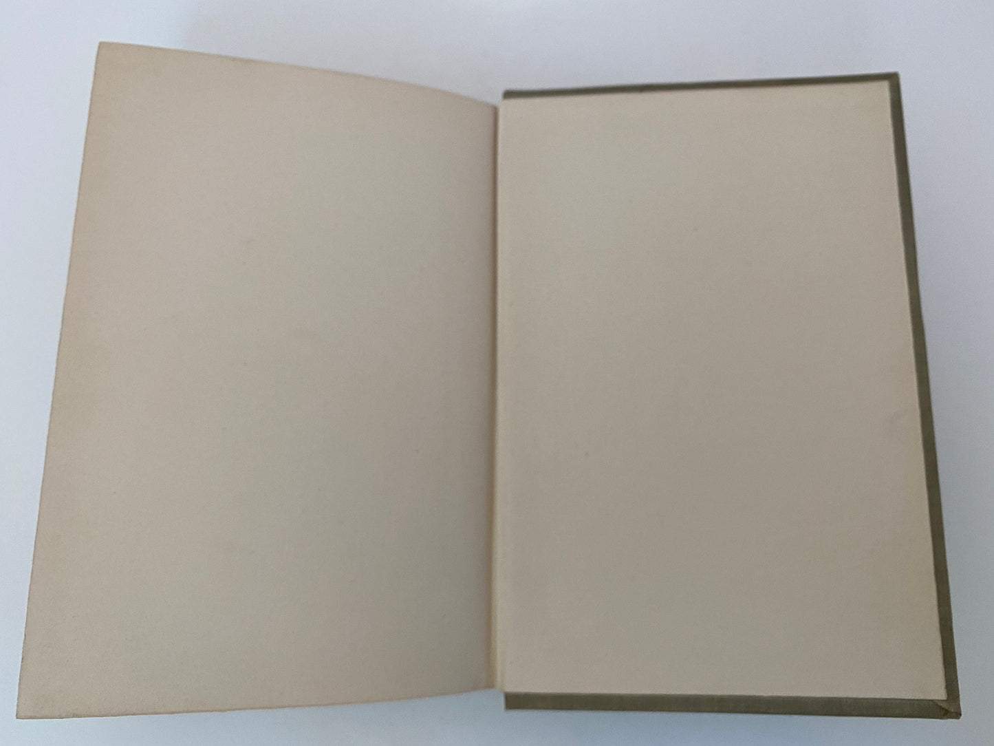 Antique Book, The Making of an American by Jacob A. Riis, First Edition