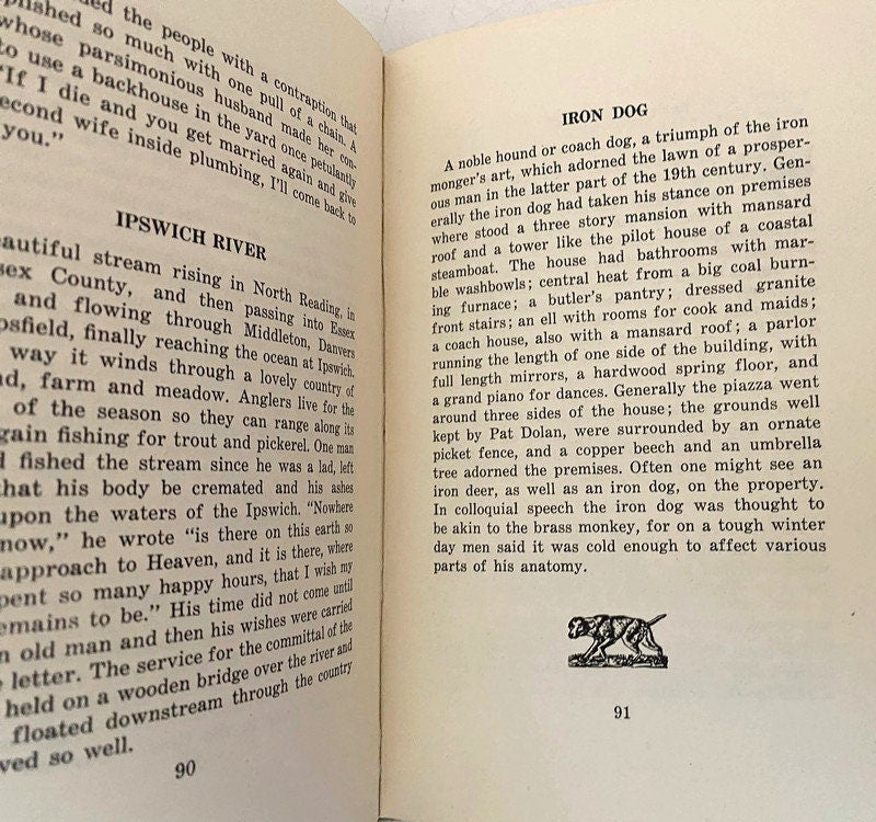 Vintage Hardcover Book, Yankee Dictionary by Charles F. Haywood
