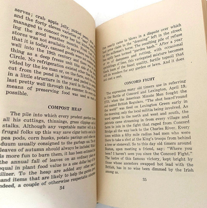 Vintage Hardcover Book, Yankee Dictionary by Charles F. Haywood