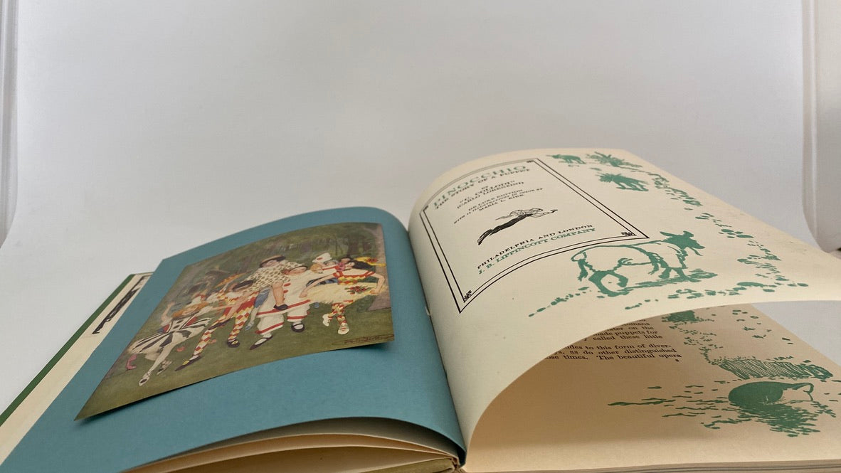 Antique Book, Pinocchio The Story of A Puppet, De Luxe Edition at Duckwells