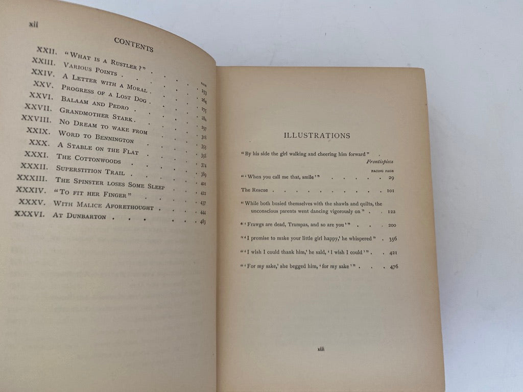 Antique Book The Virginian by Owen Wister at Duckwells