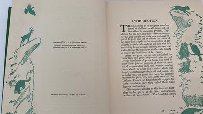 Antique Book, Pinocchio The Story of A Puppet, De Luxe Edition at Duckwells
