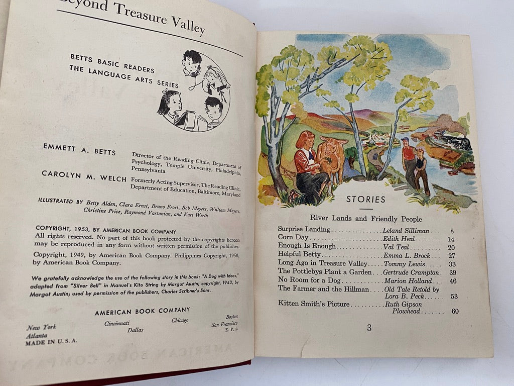 Vintage Children's Book, Beyond Treasure Valley at Duckwells