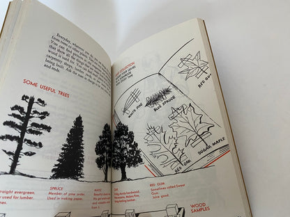 Vintage 1954 Wolf Cub Scout Book at Duckwells