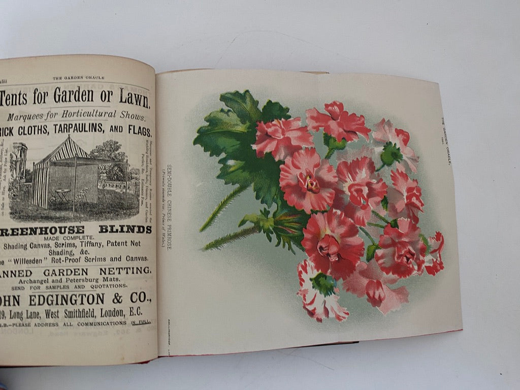 Antique Book, The Garden Oracle and Floricultural Yearbook 1894 at Duckwells