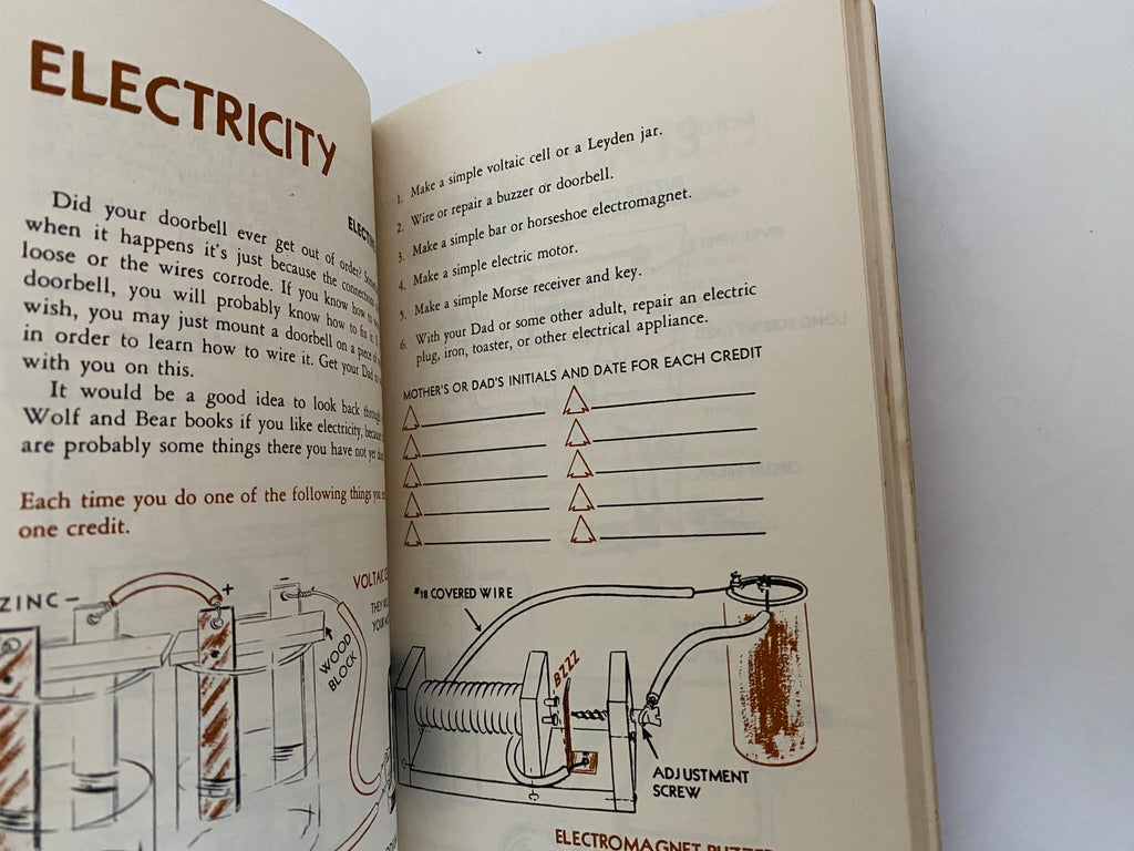Vintage 1948 Lion Cub Scouts Handbook at Duckwells
