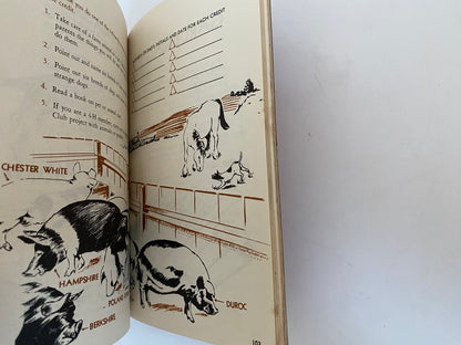 Vintage 1948 Lion Cub Scouts Handbook at Duckwells