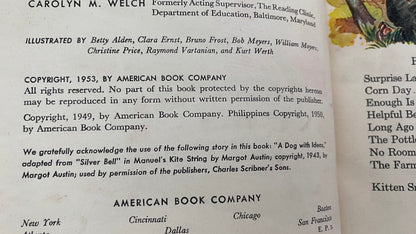 Vintage Children's Book, Beyond Treasure Valley at Duckwells