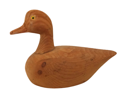 Duckwells logo